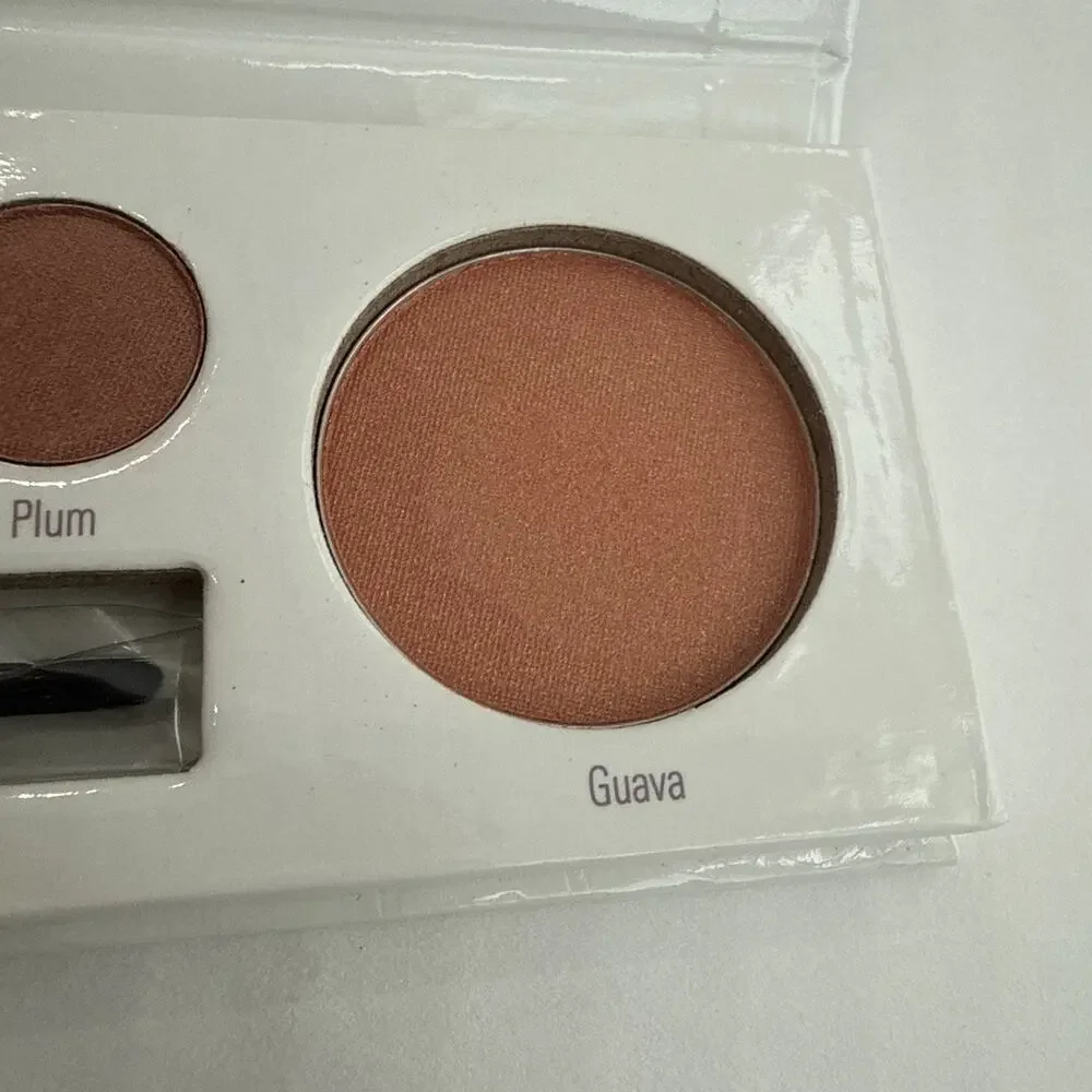 Sheer Cover Studio NEW Lips Eyes Cheek Palette DISCONTINUED Grapefruit & Plum